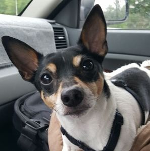 Meet your Posher, Jeanne